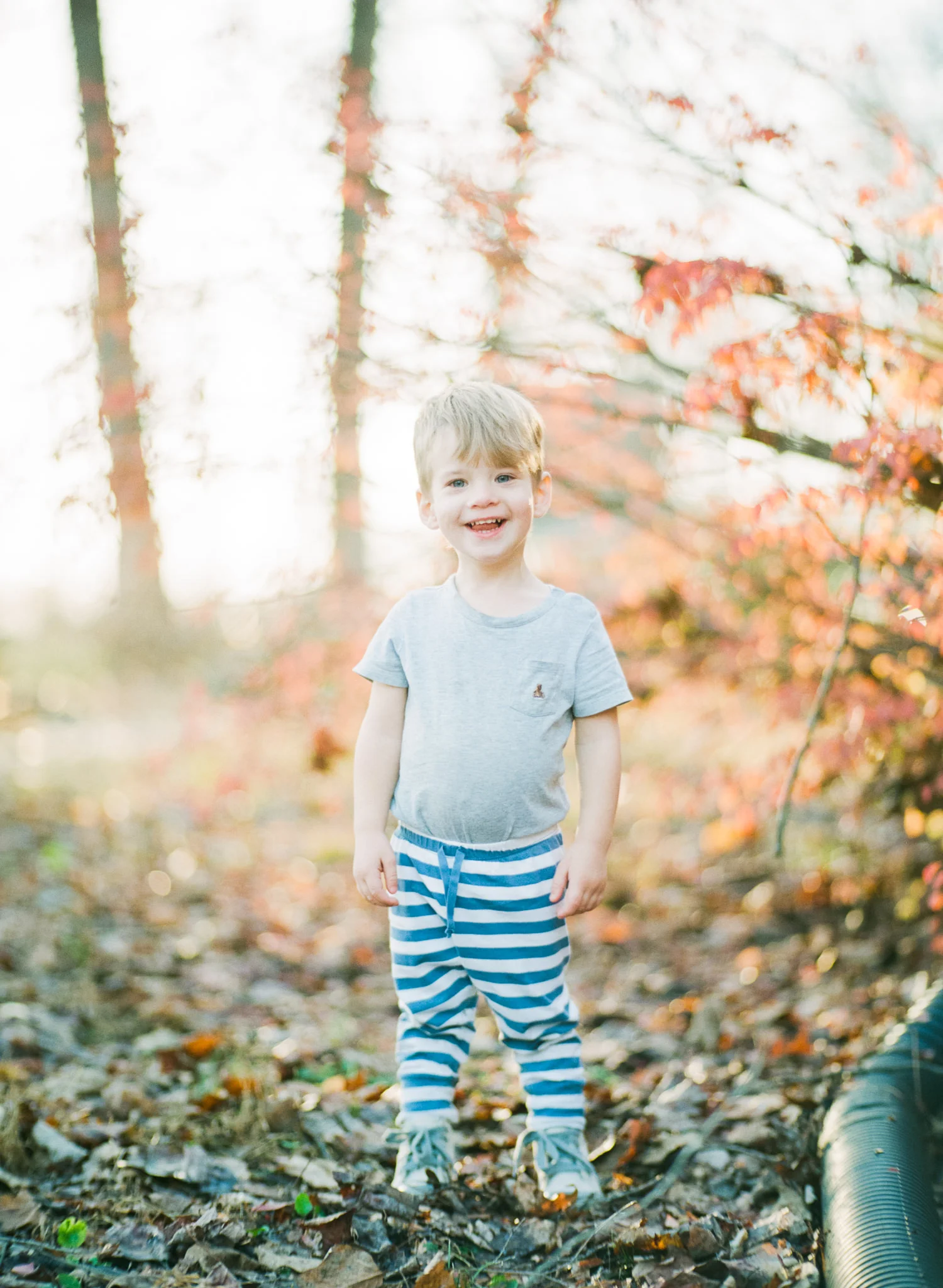 PENTAX 645NⅡ 645nⅡ 75mmレンズ　作例あり PENTAX 645NⅡ 645nⅡ 75mmレンズ 作例あり 作例レビュー】PENTAX645N